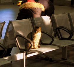 Ciampino airport in Rome