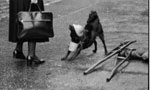 a moment on the streets of Rome