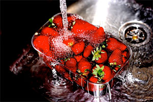 Holiday and Feast in Rome: Strawberries Festival in Rome