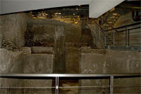 Visit and discover Vicus Caprarius in Rome