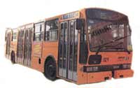 El autubus en Roma